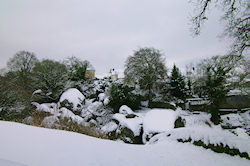 Ce dimanche de janvvier2010 sous la neige.